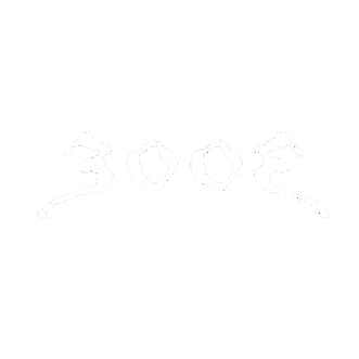 Ep.300
